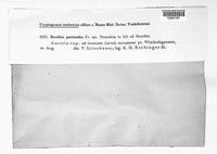 Image Associated With the Occurence